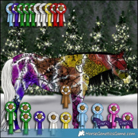 Horse Color:Silver Grullo Ice Appaloosa 