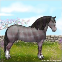 Horse Color:Plaid Liver Red Dun Sabino Rabicano