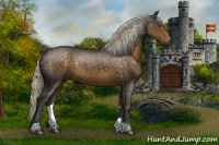 Horse Color:Chocolate Palomino 