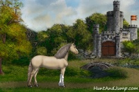 Horse Color:Chocolate Palomino Dun