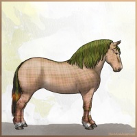 Horse Color:Plaid Liver Red Dun Sabino