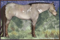 Horse Color:White Spotted Liver Red Dun Roan Brindle