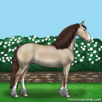 Horse Color:Liver Red Dun Sabino Brindle