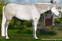 Horse Color:Liver Red Dun Mushroom Sabino Brindle 
