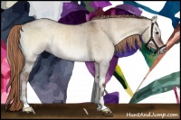 Horse Color:Liver Red Dun Roan Onyx Brindle