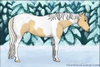 Horse Color:Silver Buckskin Tobiano 
