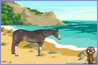 Horse Color:White Spotted Liver Chestnut Tobiano 