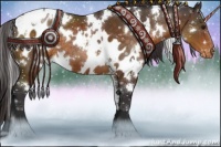 Horse Color:White Spotted Buckskin Sabino Appaloosa  and White Spotted Buckskin Sabino Appaloosa 