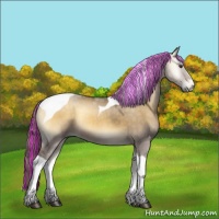 Horse Color:Painted Chocolate Palomino Onyx Sabino Tobiano
