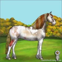 Horse Color:Painted White Spotted Liver Red Dun Onyx Sabino