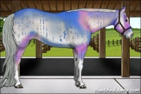 Horse Color:Watercolor Liver Red Onyx Sabino Tobiano 