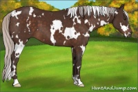 Horse Color:White Spotted Silver Brown 