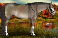 Horse Color:White Spotted Liver Red Dun Brindle