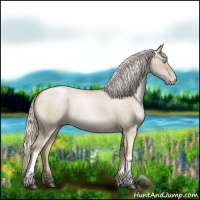 Horse Color:Chocolate Palomino Roan Pearl Dun