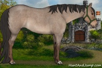 Horse Color:Liver Red Dun Roan