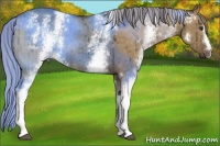 Horse Color:White Spotted Chocolate Palomino Dun Brindle