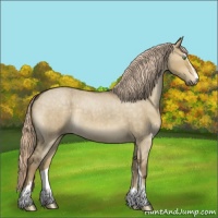 Horse Color:Chocolate Palomino Roan Dun Sabino 