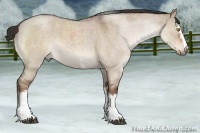 Horse Color:White Spotted Liver Red Dun Roan Rabicano