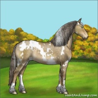 Horse Color:White Spotted Chocolate Palomino Dun Rabicano