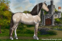 Horse Color:White Spotted Liver Red Dun Rabicano 