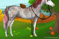 Horse Color:Plaid  Amber Champagne Pearl Onyx Sabino Splash 