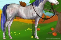 Horse Color:Painted Watercolor White Spotted Brown Ice Pearl Dun Sabino Splash Rabicano Brindle 