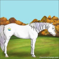 Horse Color:Nacre Plaid Silver Brown Dun Sabino Splash