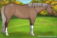Horse Color:Silver Brown Dun 