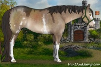 Horse Color:White Spotted Liver Red Dun 