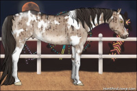 Horse Color:White Spotted Liver Red Dun Brindle 