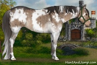Horse Color:White Spotted Liver Red Dun Roan Rabicano Brindle 