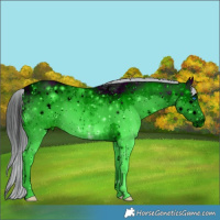 Horse Color:ERROR: UNKNOWN ANOMALY