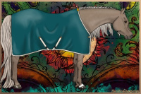 Horse Color:Silver Grullo 