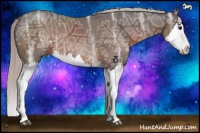 Horse Color:White Spotted Silver Brown Ice Sabino Splash Rabicano 