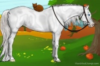 Horse Color:Silver Grullo Ice Sabino Splash 