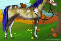 Horse Color:Painted White Spotted Brown Onyx