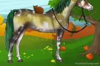 Horse Color:Painted White Spotted Brown Onyx 