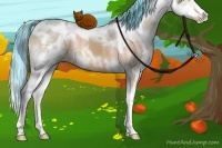 Horse Color:Watercolor White Spotted Brown Dun Splash 