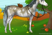 Horse Color:Painted White Spotted Classic Champagne Onyx Splash 