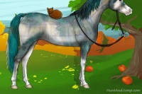 Horse Color:Plaid Brown Onyx Sabino Rabicano