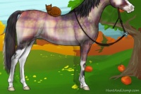 Horse Color:Plaid  Brown Onyx Sabino Rabicano 
