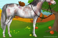 Horse Color:Nacre White Spotted Liver Red Onyx Rabicano