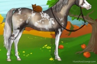 Horse Color:White Spotted Silver Blue Onyx Splash