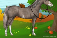 Horse Color:Silver Grullo Sabino 