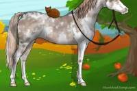 Horse Color:White Spotted Liver Red Dun Roan Splash 