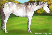 Horse Color:Nacre White Spotted Liver Red Onyx Ice Sabino Splash 