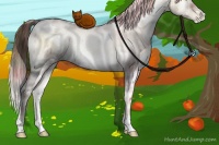 Horse Color:Plaid  White Spotted Liver Red Dun Pearl Onyx Rabicano 