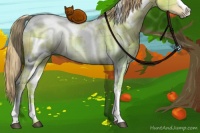 Horse Color:Watercolor Plaid  White Spotted Liver Red Dun 