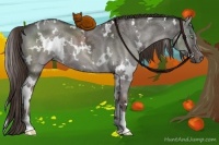 Horse Color:White Spotted Liver Red Dun Ice 