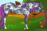 Horse Color:Watercolor White Spotted Liver Red Dun Ice Onyx 